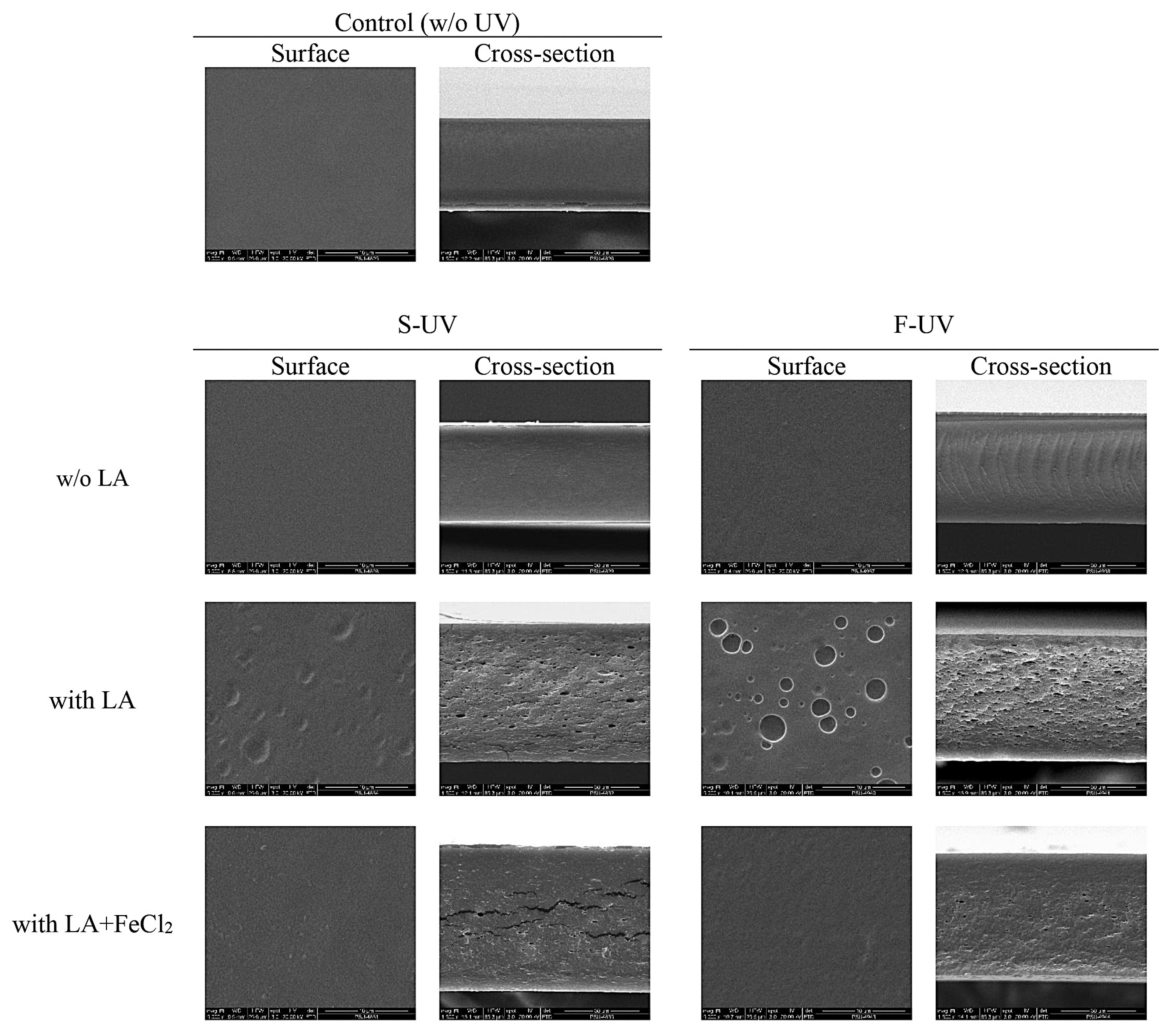 Polymers 17 02512 g007 Polymers 17 02512 g007