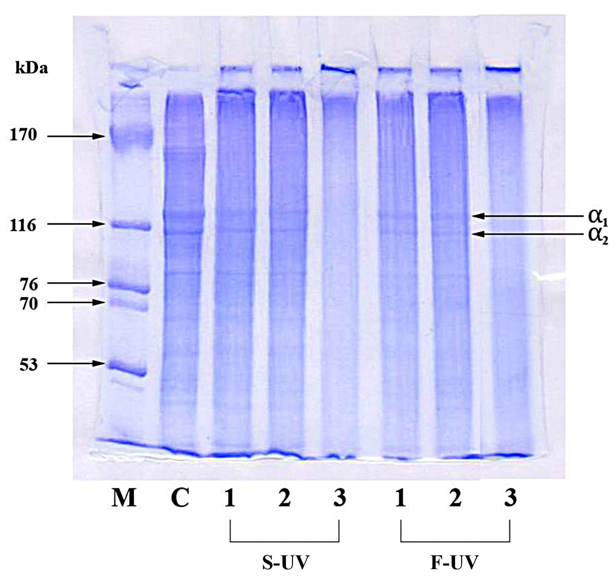 Polymers 17 02512 g010 Polymers 17 02512 g010