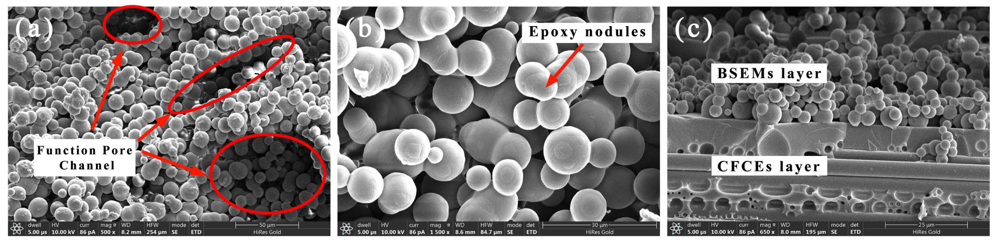 Polymers 17 02517 g003
