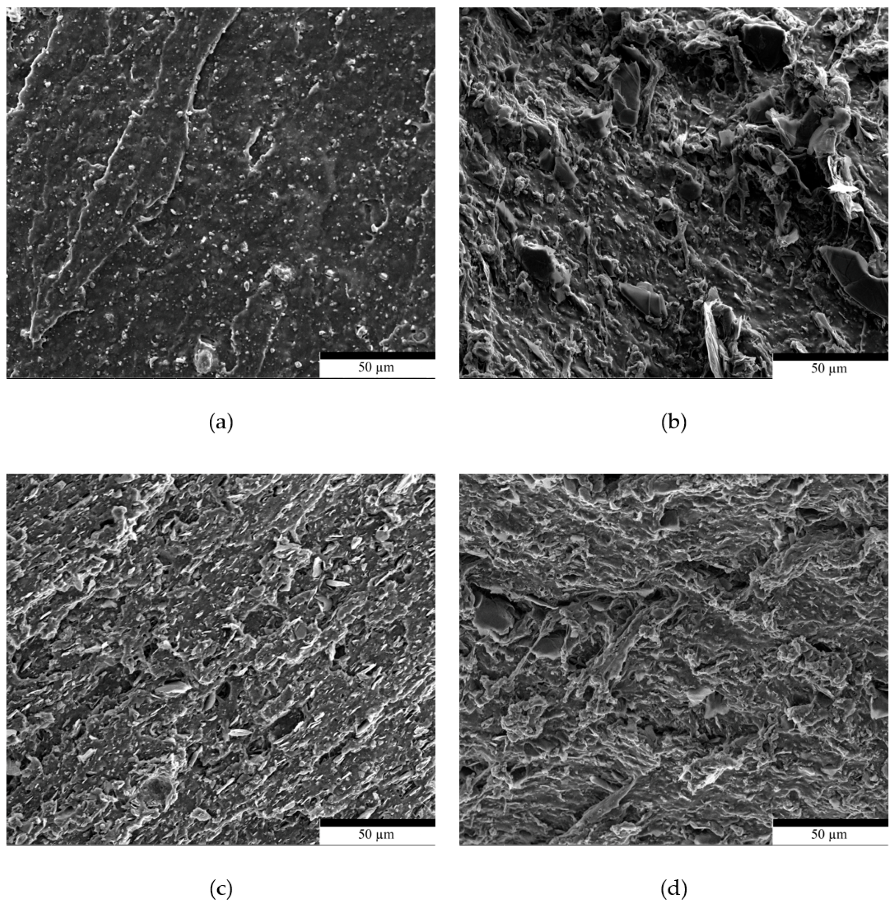 Polymers 17 02534 g008 Polymers 17 02534 g008