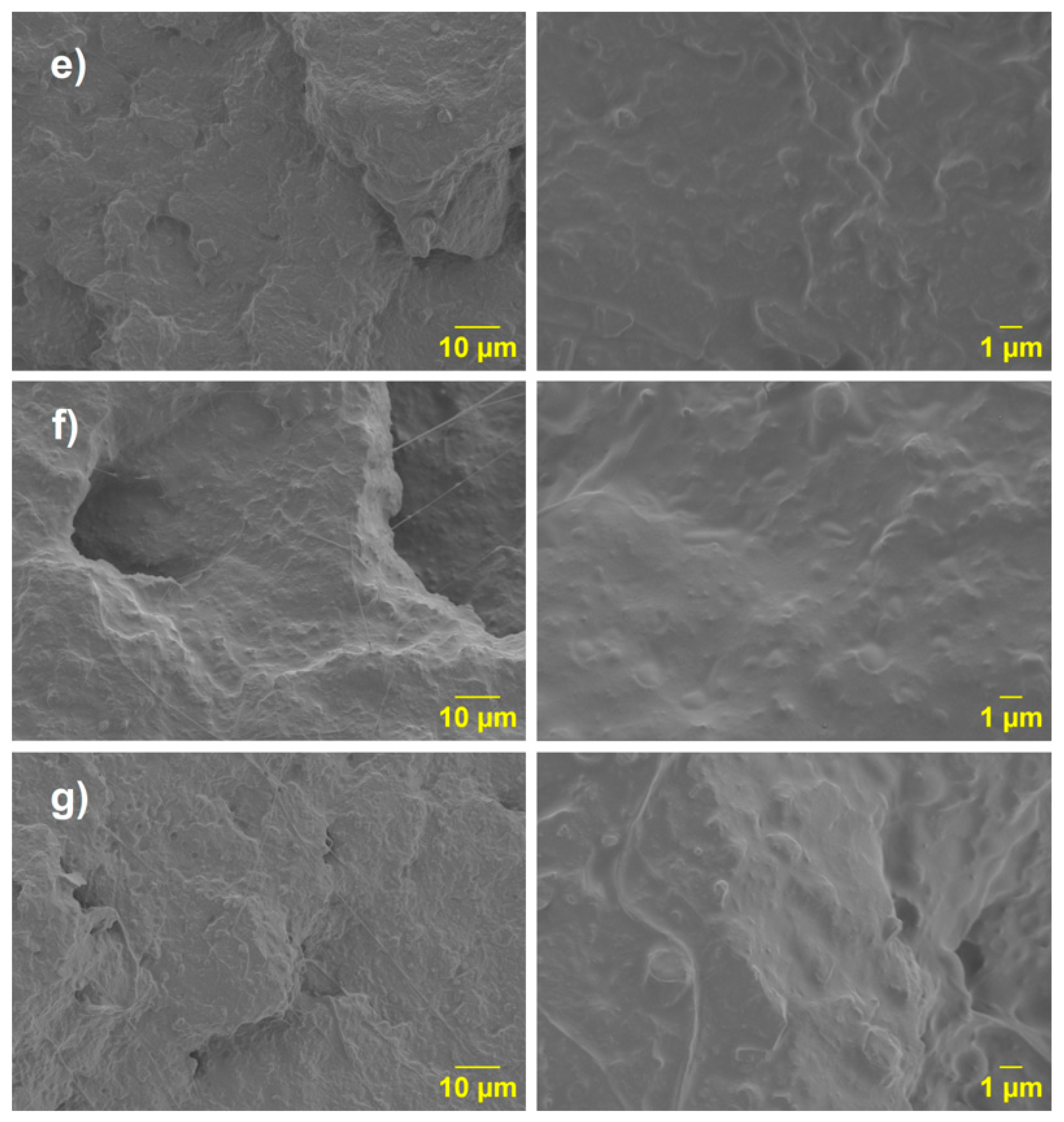 Polymers 17 02540 g012 Polymers 17 02540 g012