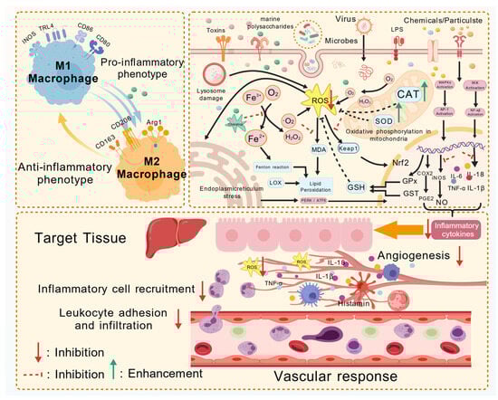 Polymers 17 02553 g003