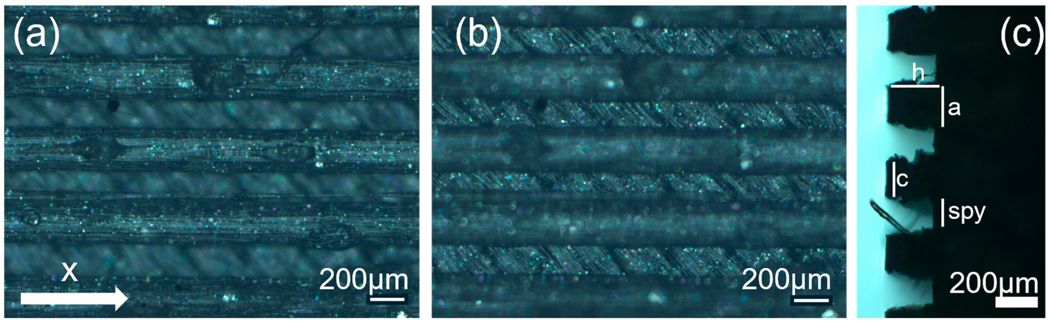Polymers 17 02570 g001