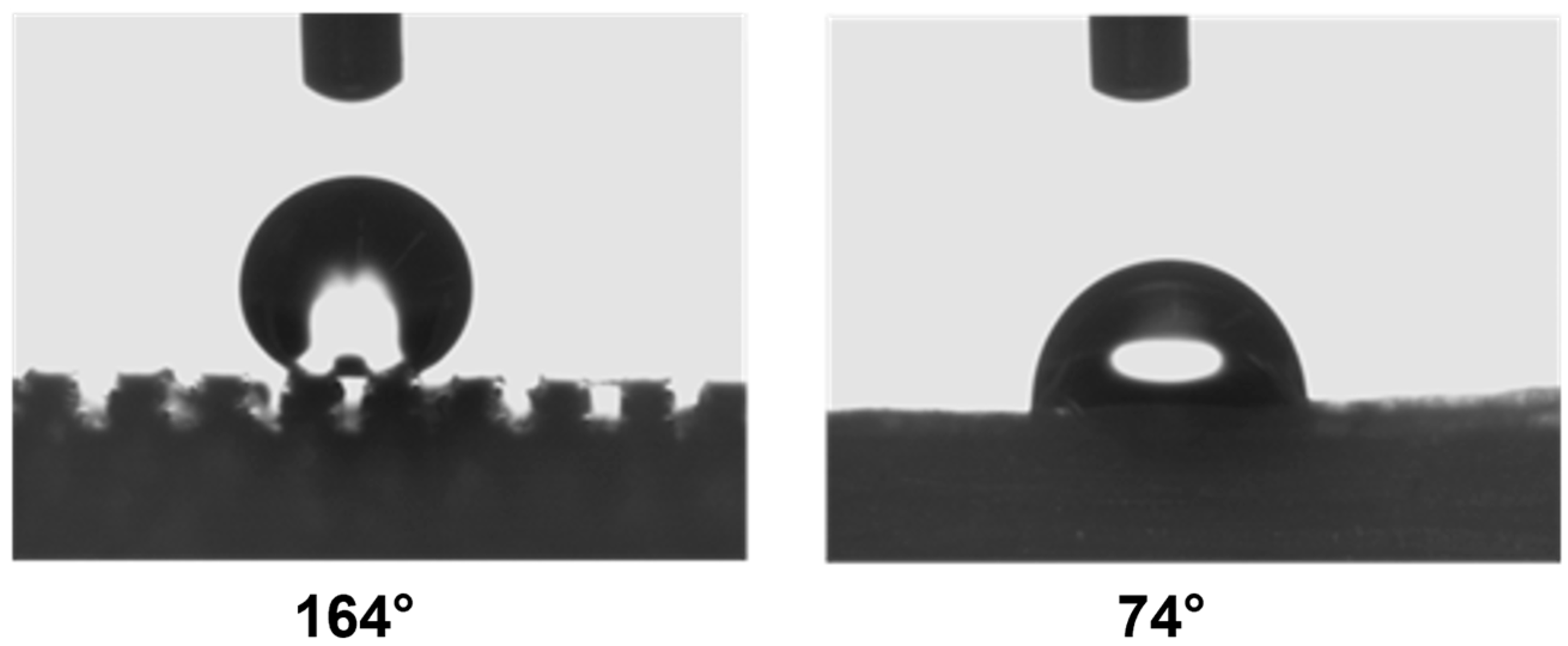 Polymers 17 02570 g002