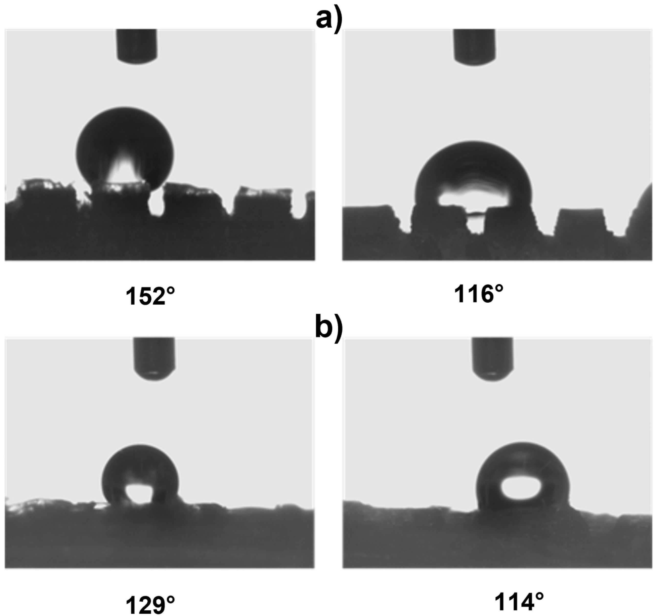 Polymers 17 02570 g006