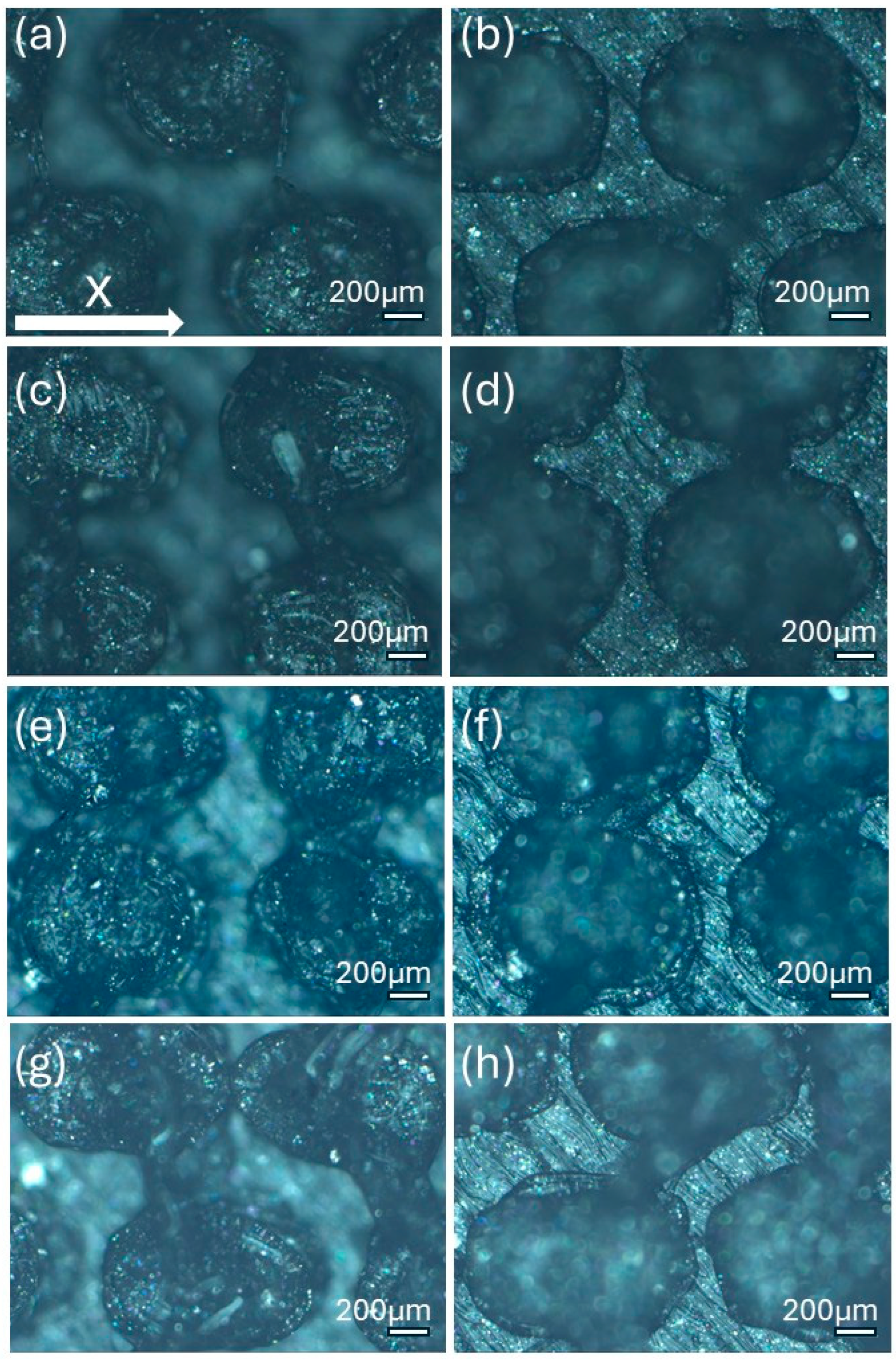 Polymers 17 02570 g007