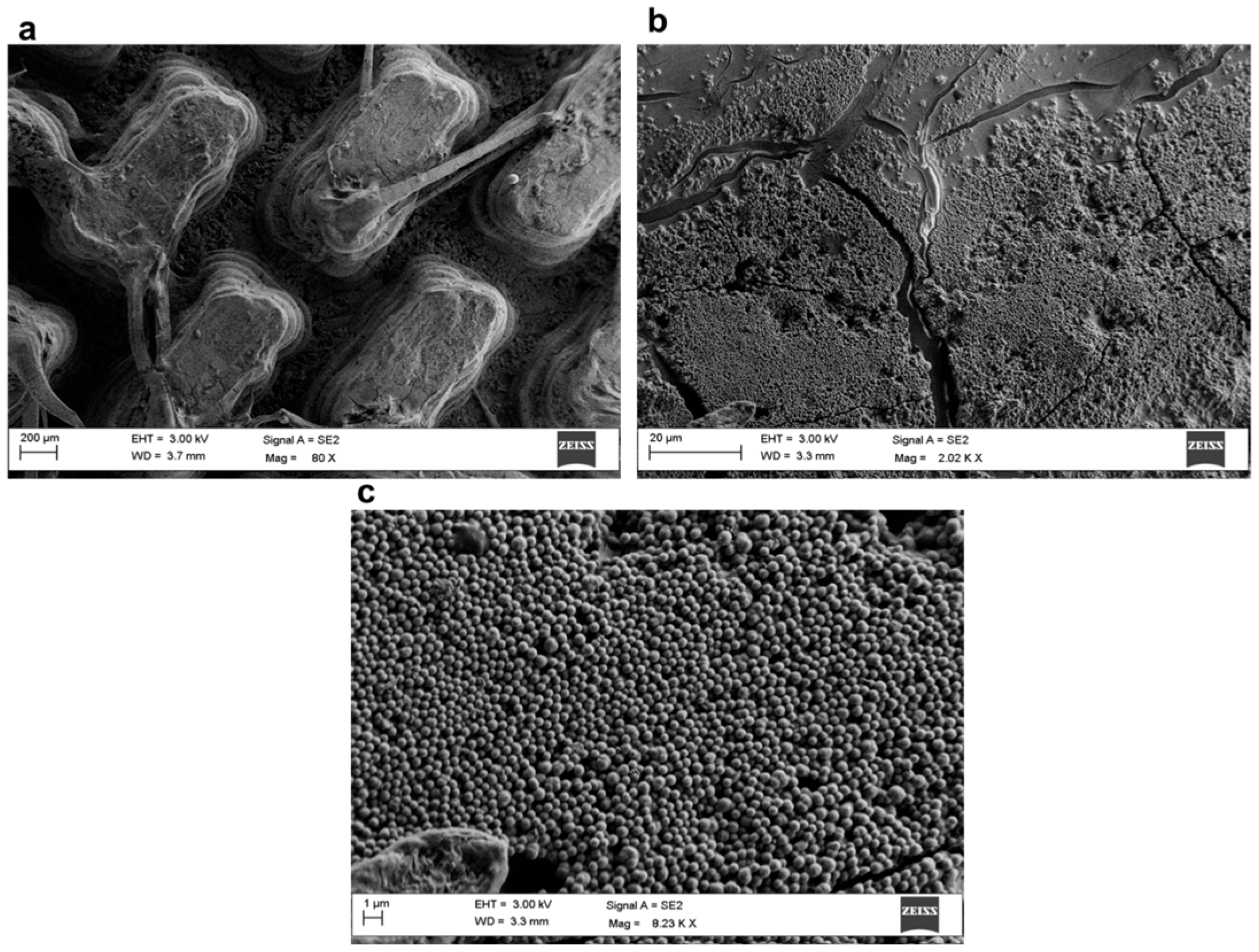 Polymers 17 02570 g014