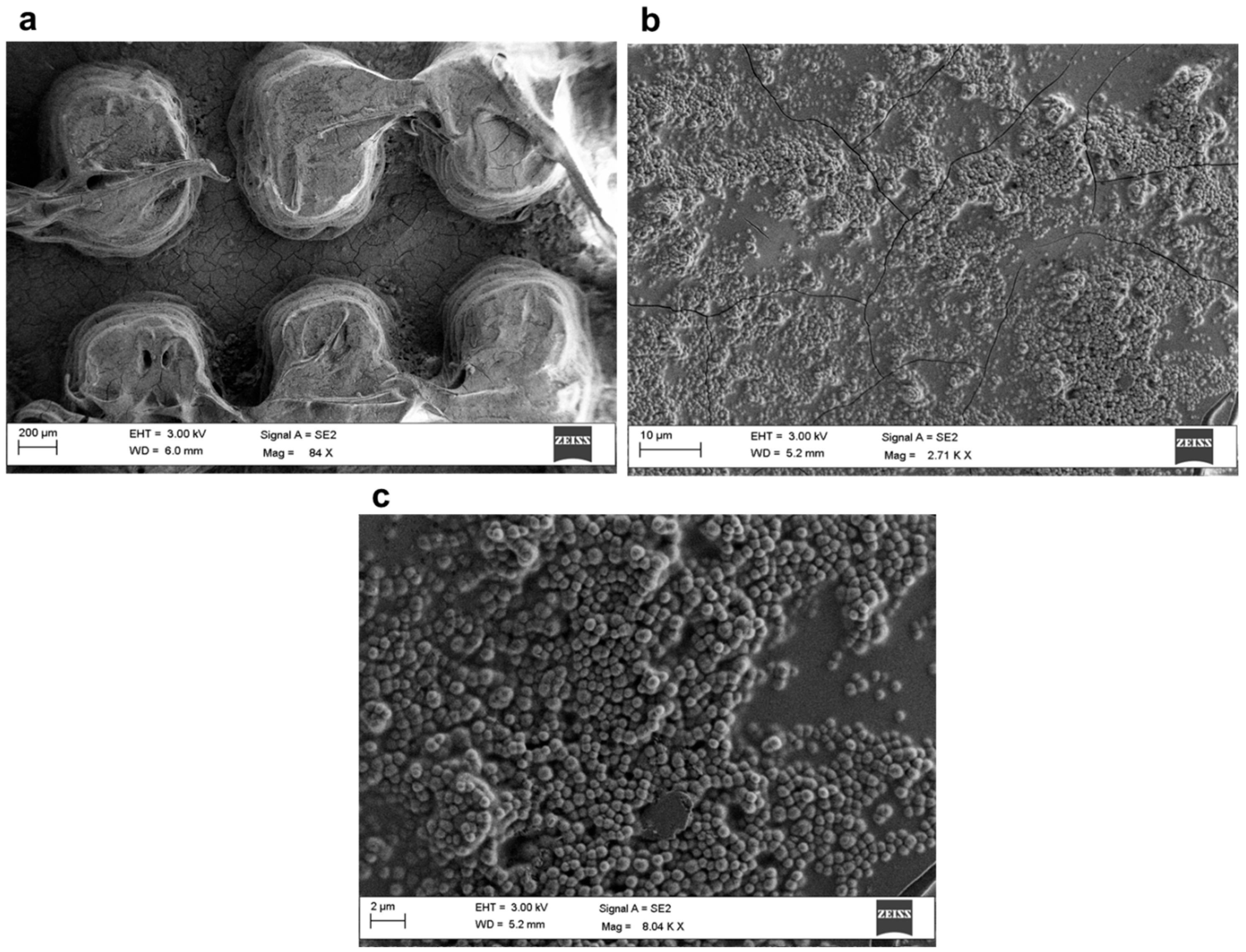 Polymers 17 02570 g015
