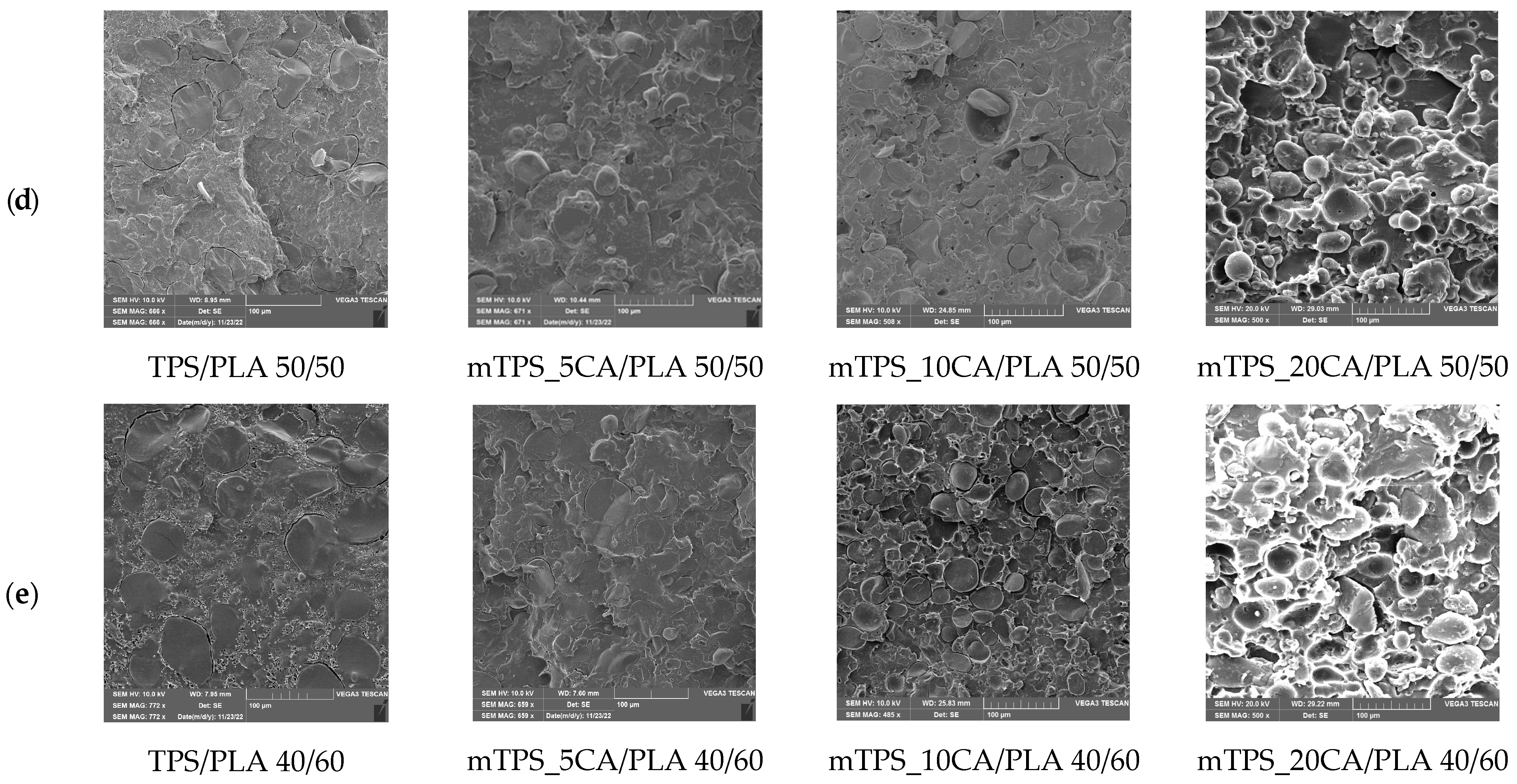 Polymers 17 02571 g002b