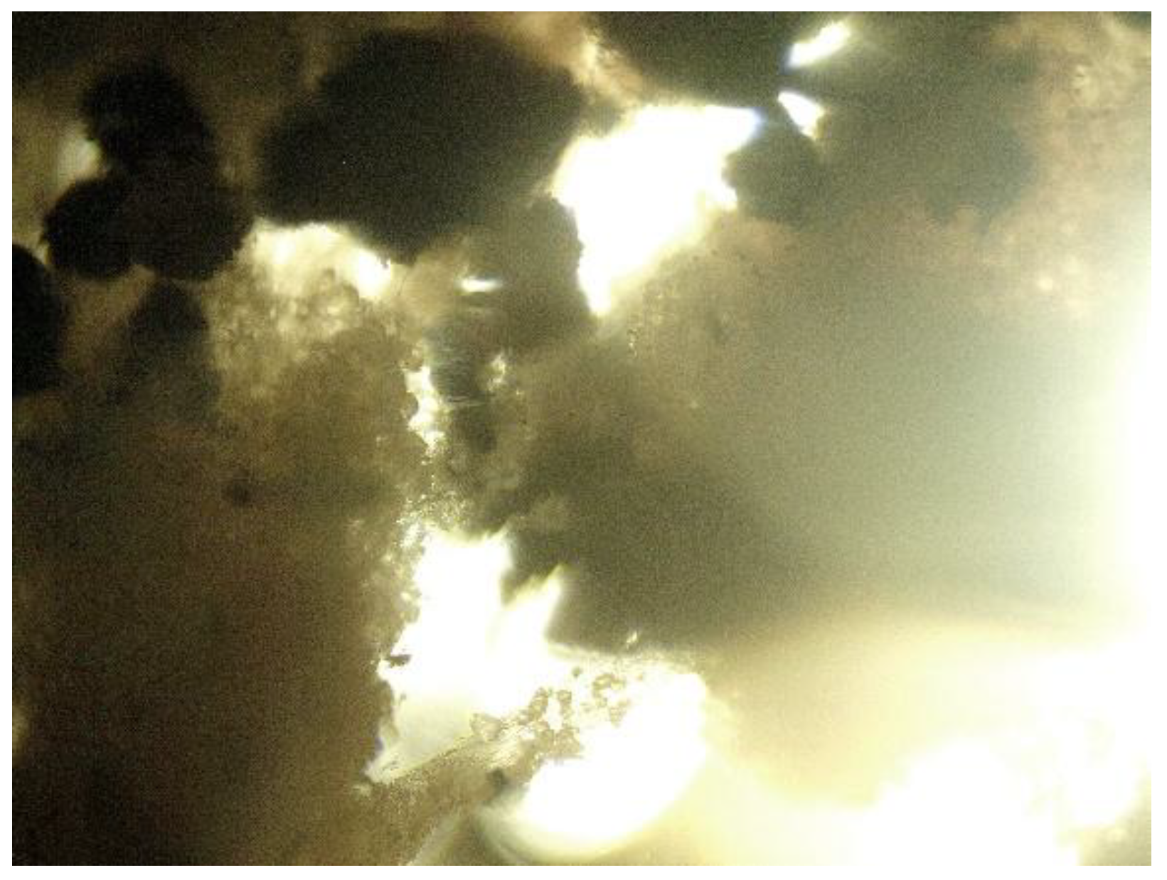 Polymers 17 02571 g014