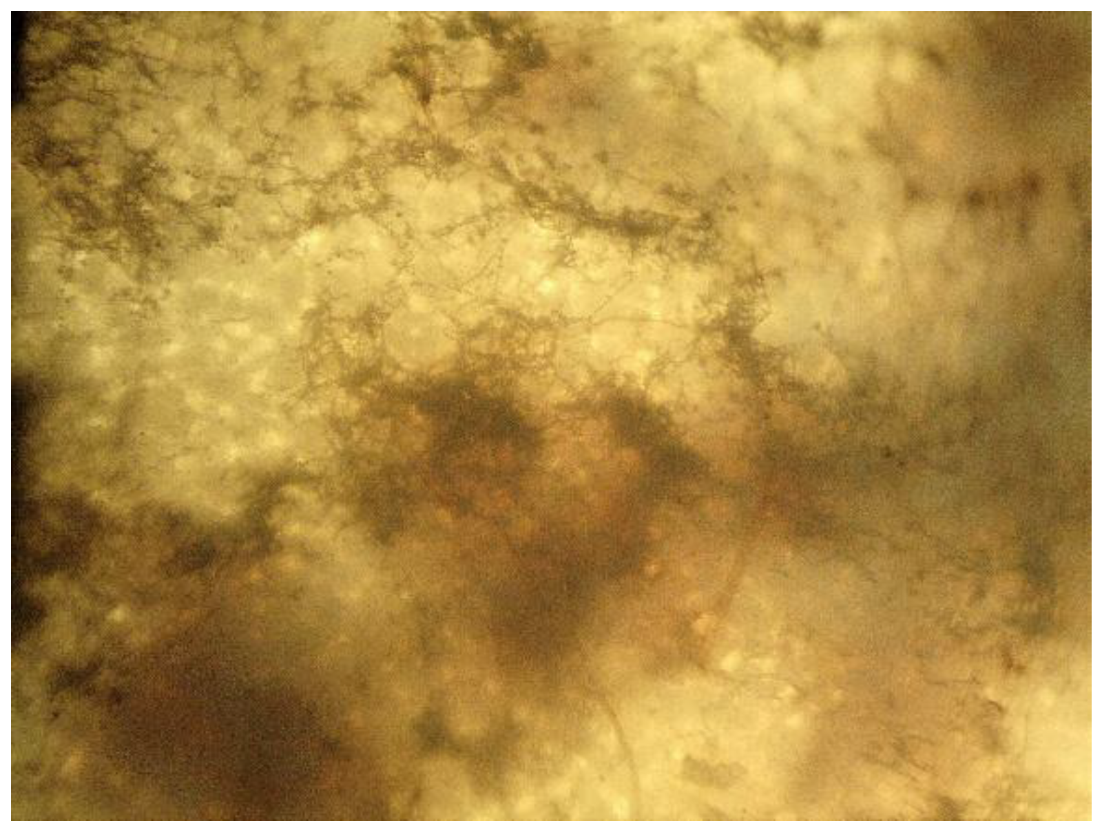 Polymers 17 02571 g015