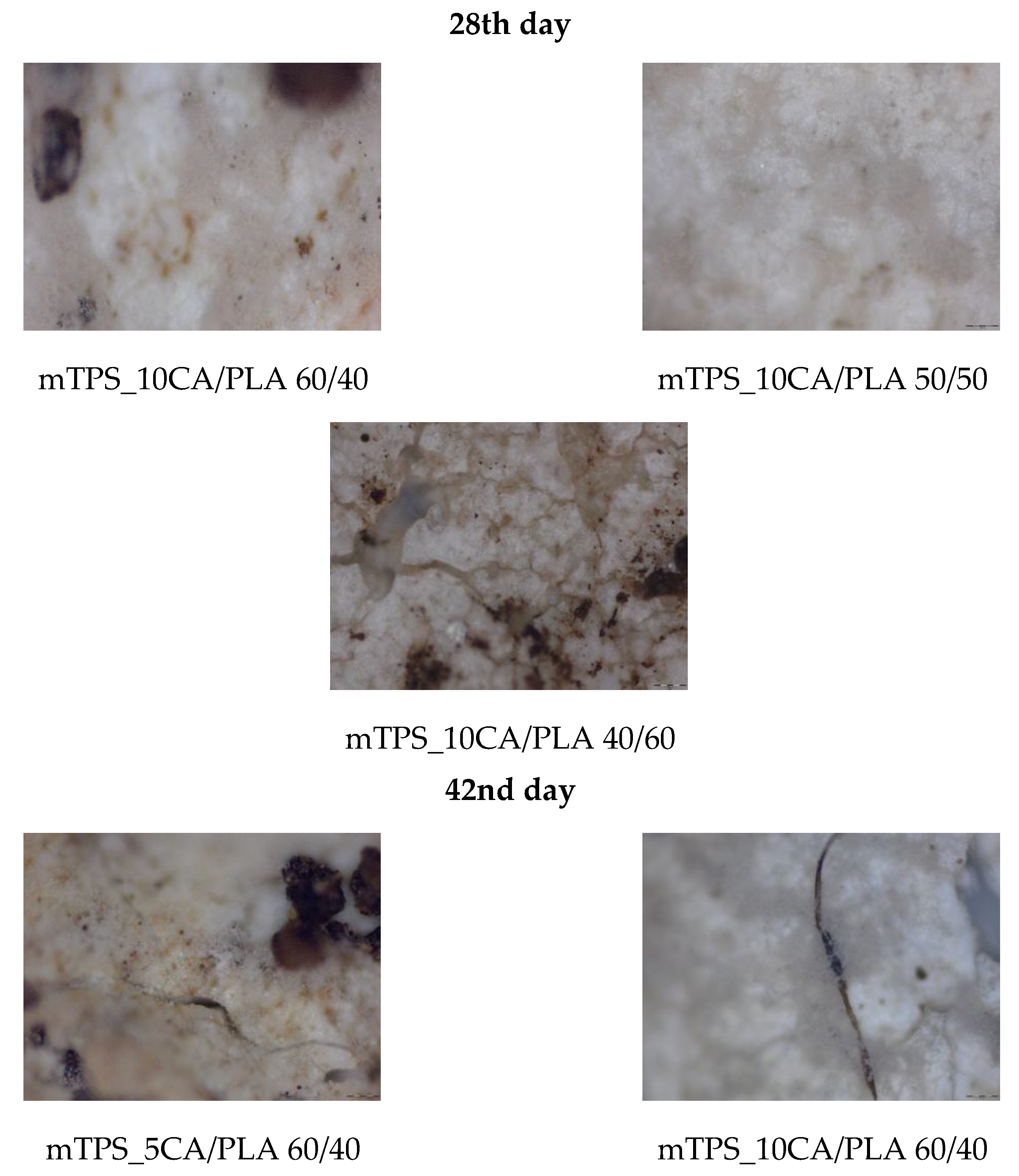 Polymers 17 02571 g017