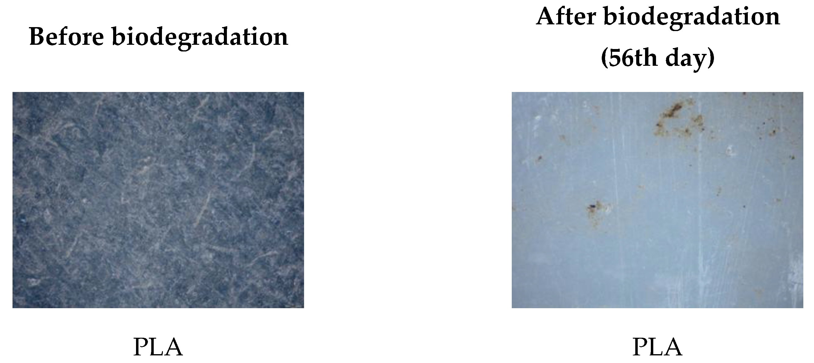 Polymers 17 02571 g018