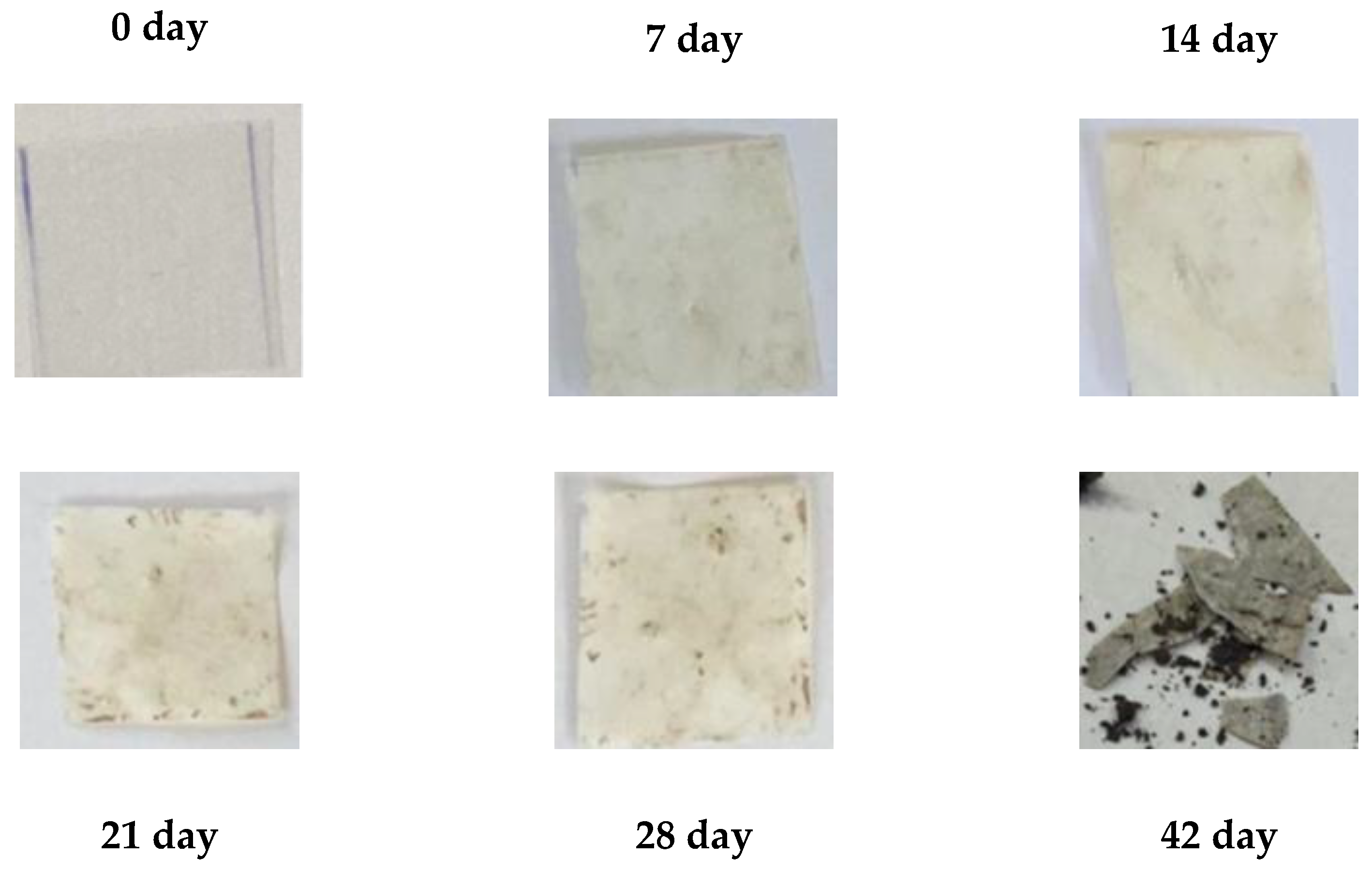 Polymers 17 02571 g019