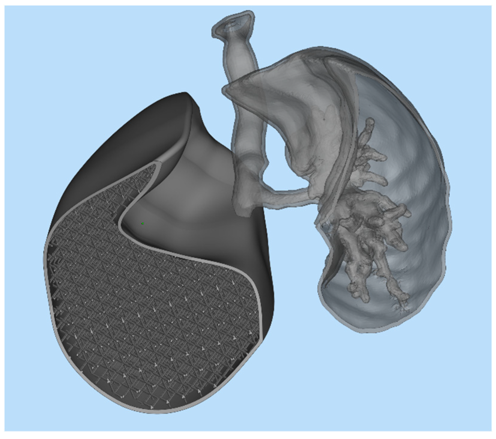 Polymers 17 02572 g014