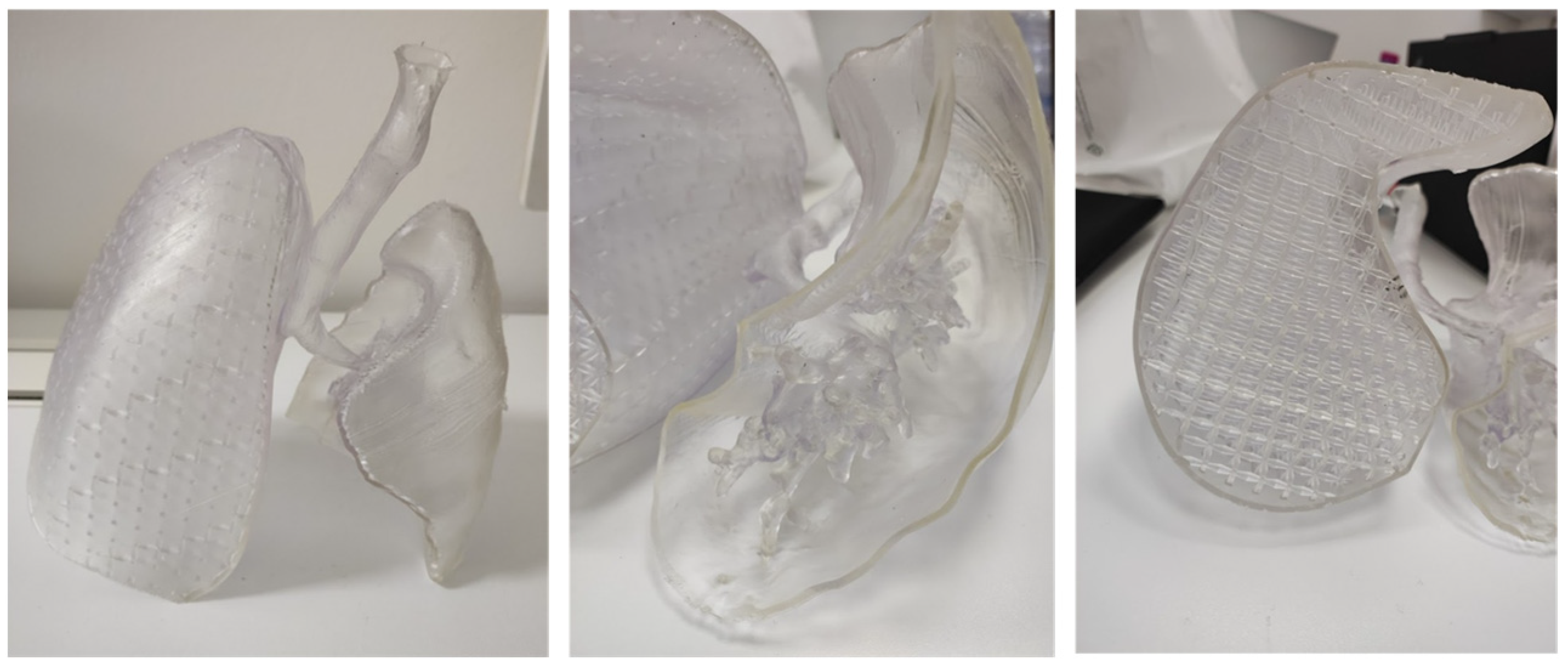 Polymers 17 02572 g016