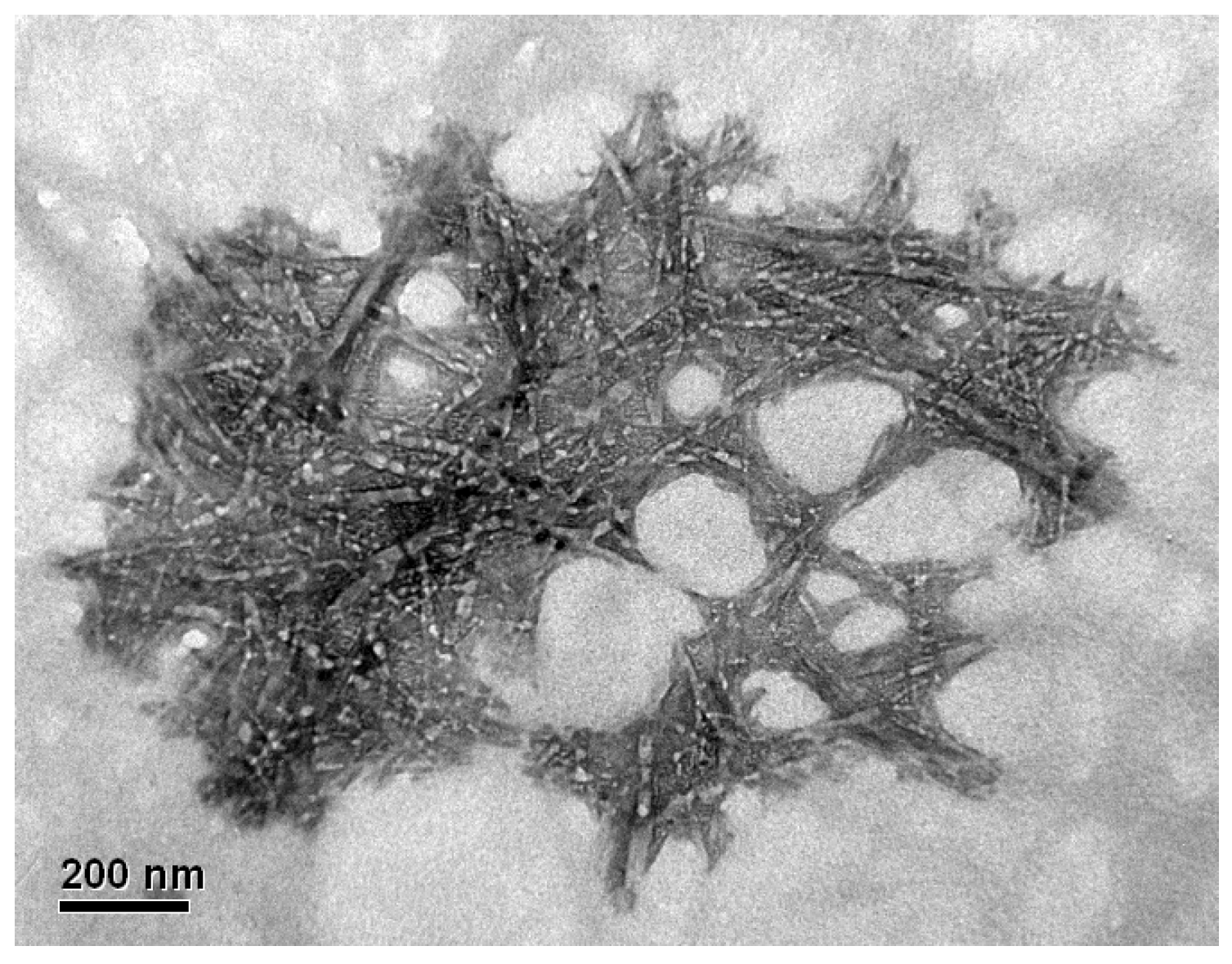 Polymers 17 02581 g003