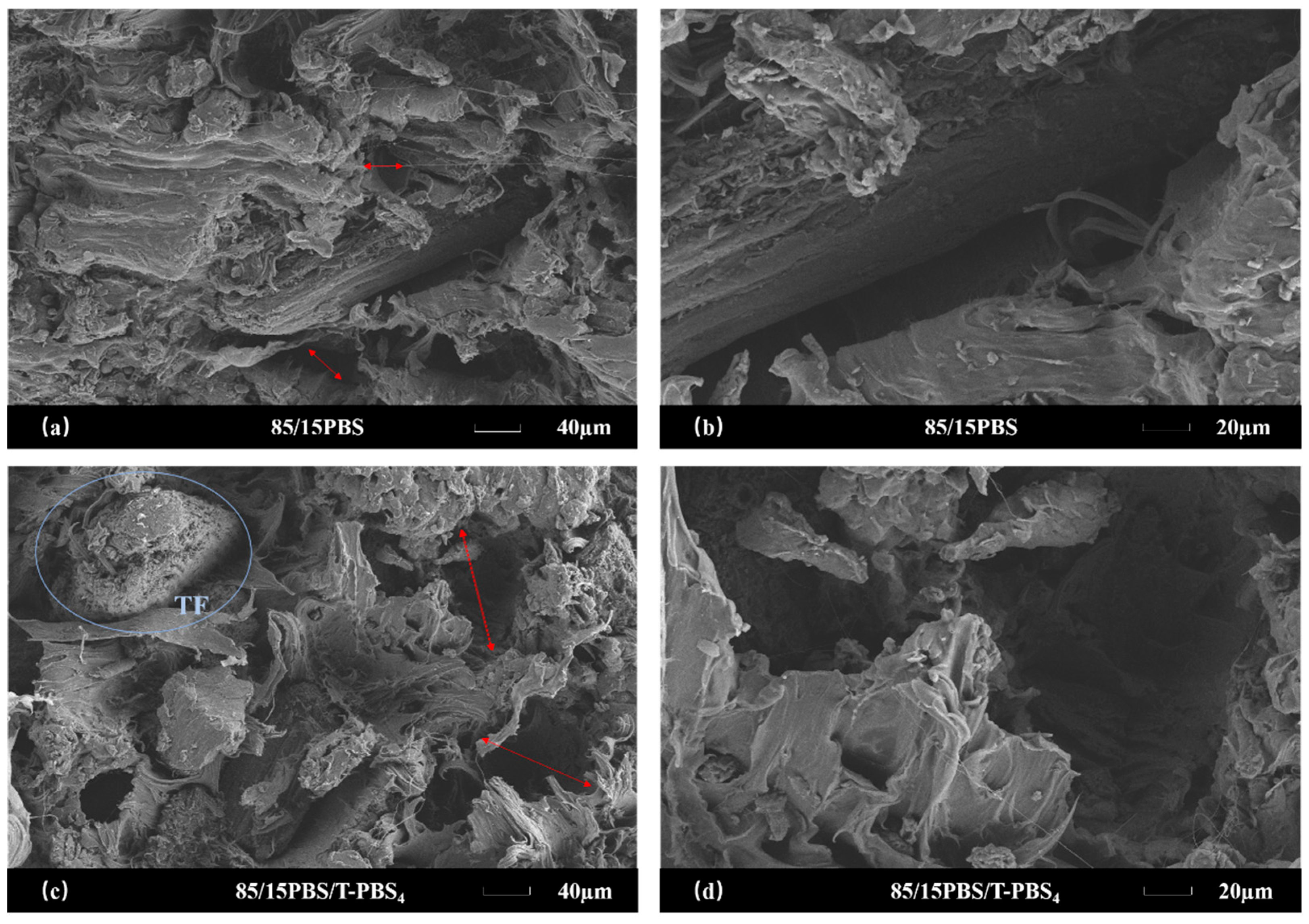 Polymers 17 02597 g007
