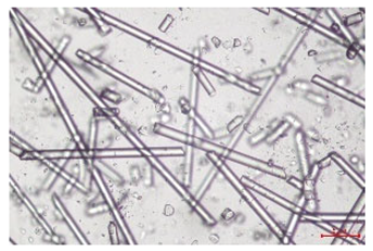 Polymers 17 02625 i002 Polymers 17 02625 i002