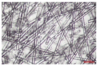 Polymers 17 02625 i003 Polymers 17 02625 i003