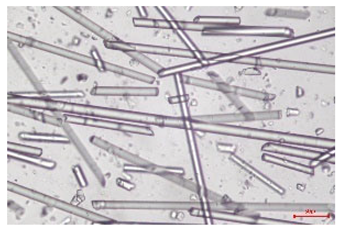 Polymers 17 02625 i004 Polymers 17 02625 i004