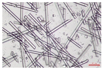 Polymers 17 02625 i005 Polymers 17 02625 i005