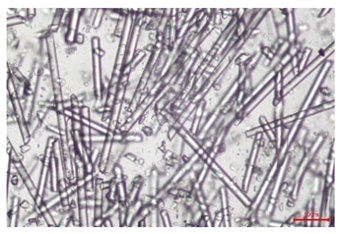 Polymers 17 02625 i006 Polymers 17 02625 i006