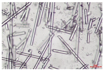 Polymers 17 02625 i008 Polymers 17 02625 i008