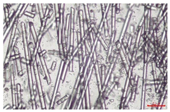 Polymers 17 02625 i009 Polymers 17 02625 i009