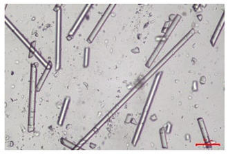 Polymers 17 02625 i010 Polymers 17 02625 i010