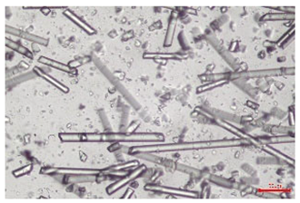 Polymers 17 02625 i011 Polymers 17 02625 i011