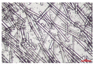 Polymers 17 02625 i012 Polymers 17 02625 i012