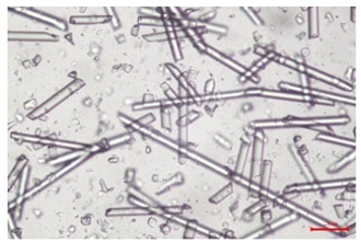 Polymers 17 02625 i014 Polymers 17 02625 i014