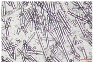 Polymers 17 02625 i015 Polymers 17 02625 i015