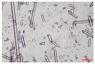 Polymers 17 02625 i016 Polymers 17 02625 i016
