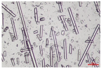 Polymers 17 02625 i017 Polymers 17 02625 i017