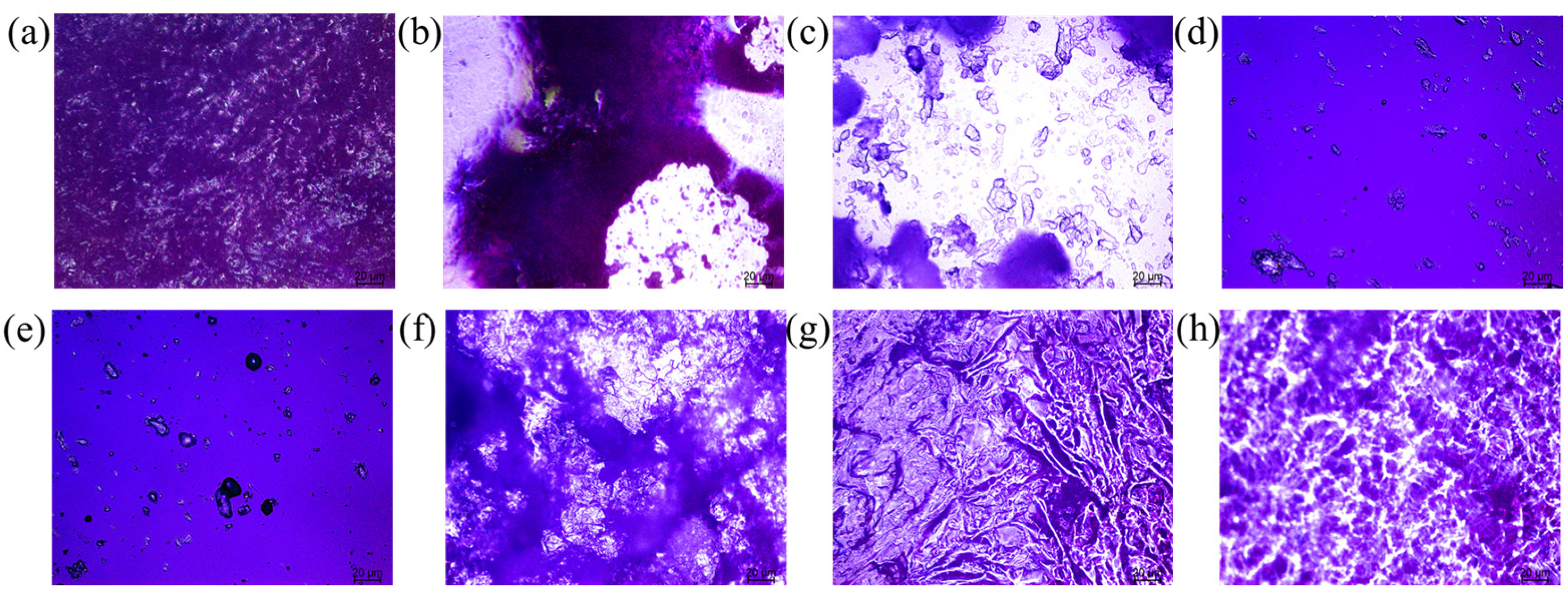 Polymers 17 02632 g005