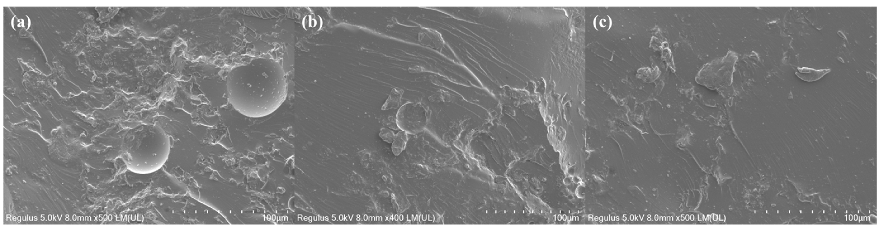 Polymers 17 02632 g008