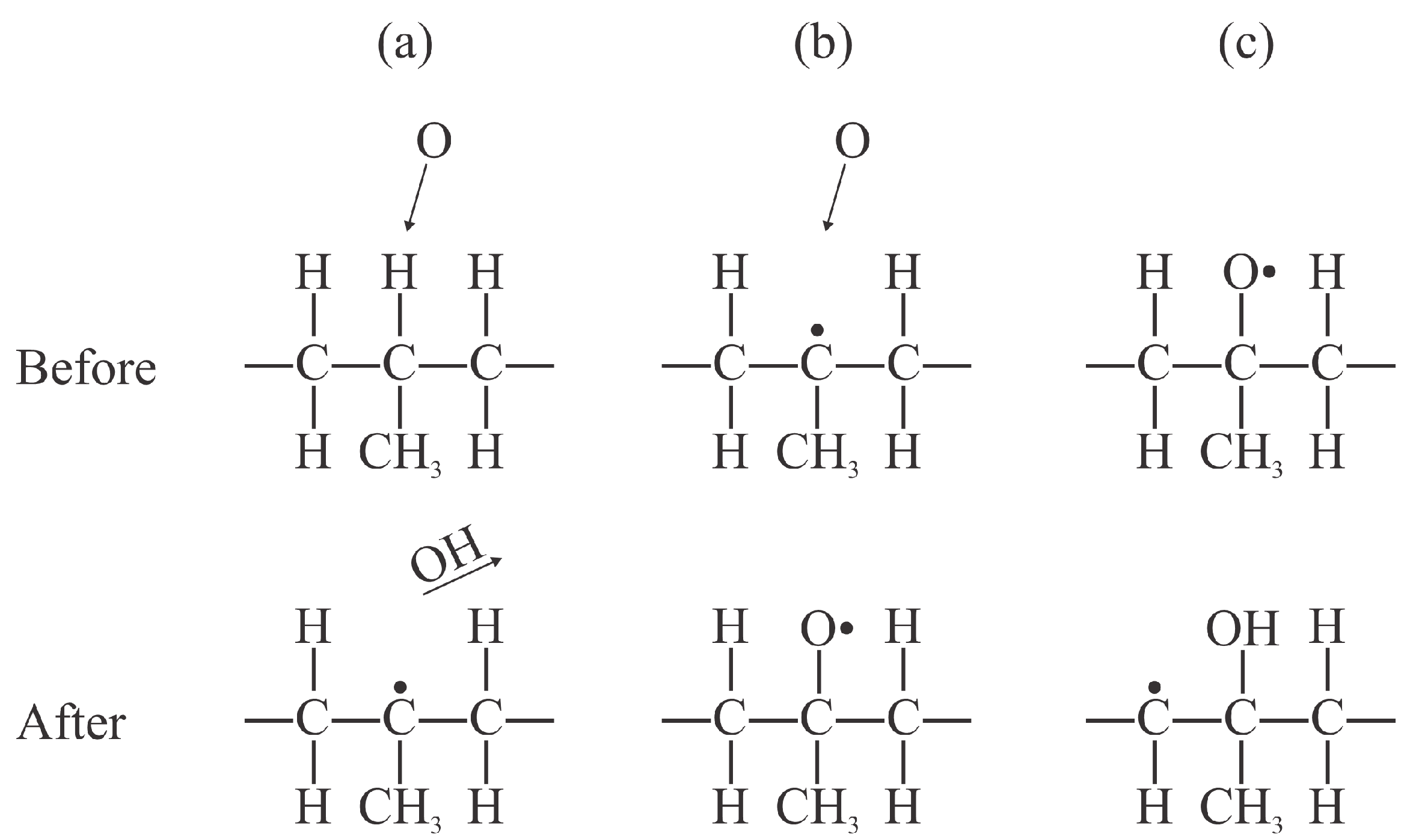 Polymers 17 02644 g002 Polymers 17 02644 g002