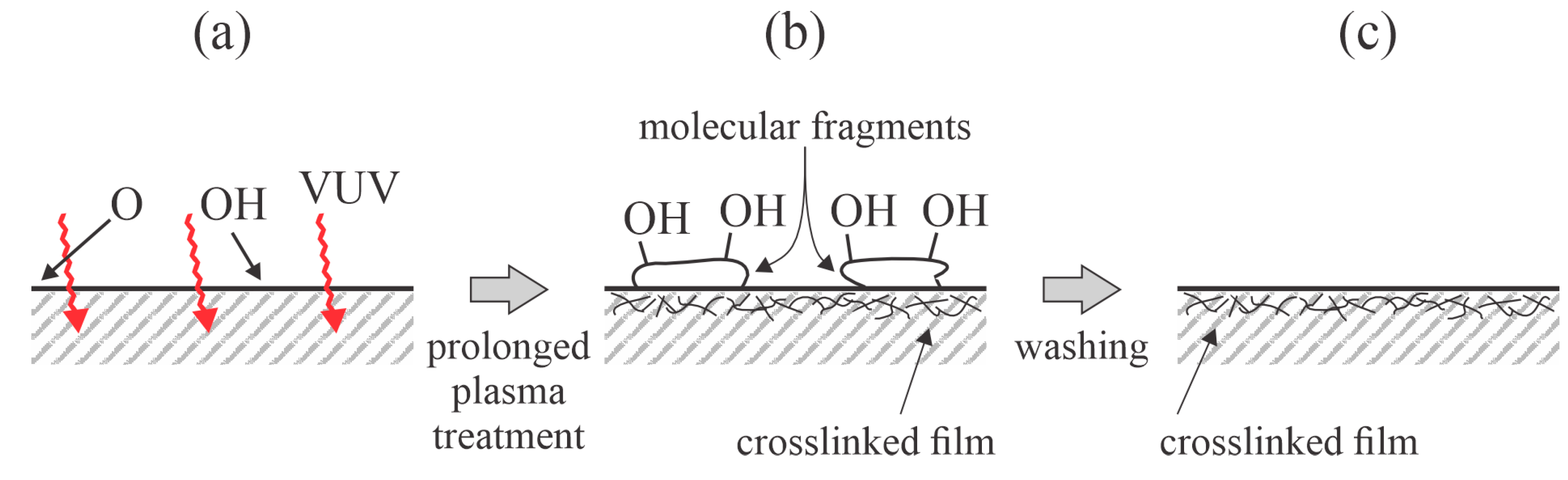 Polymers 17 02644 g004 Polymers 17 02644 g004
