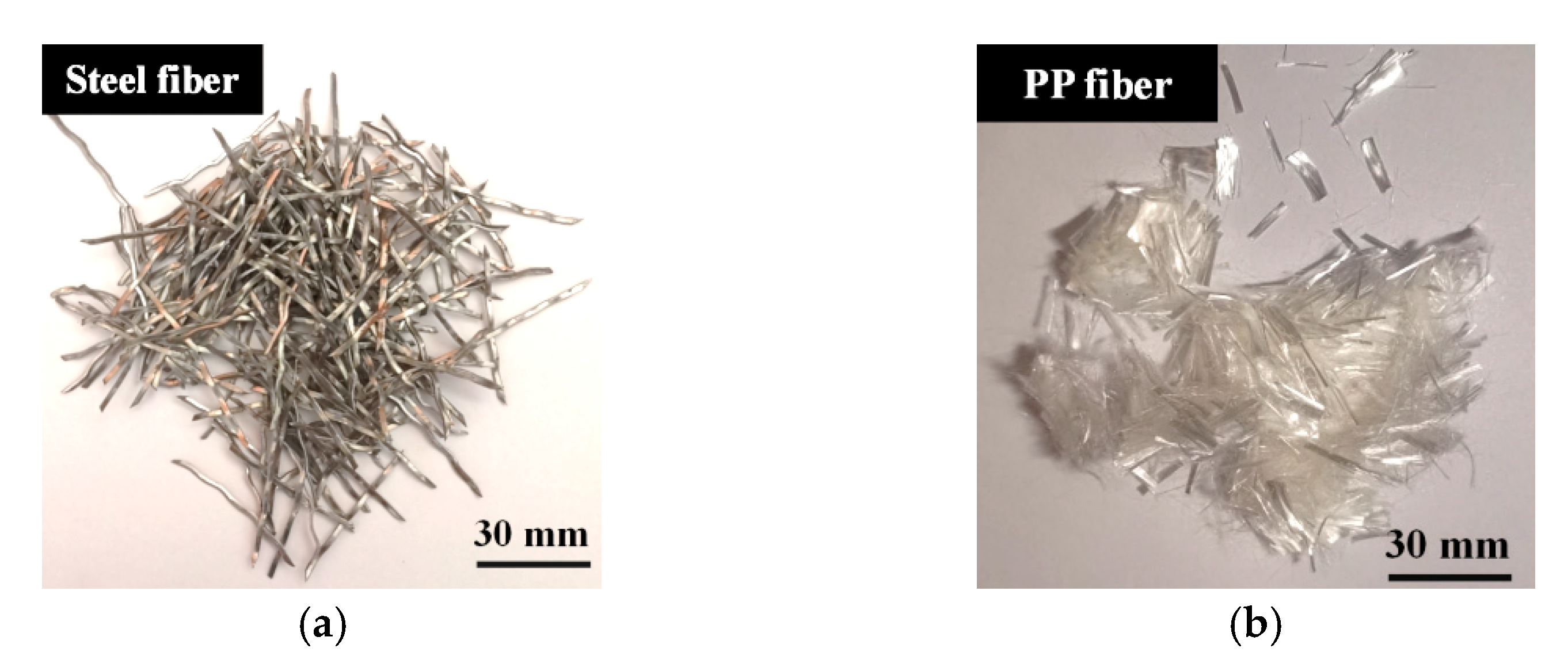 Polymers 17 02645 g001