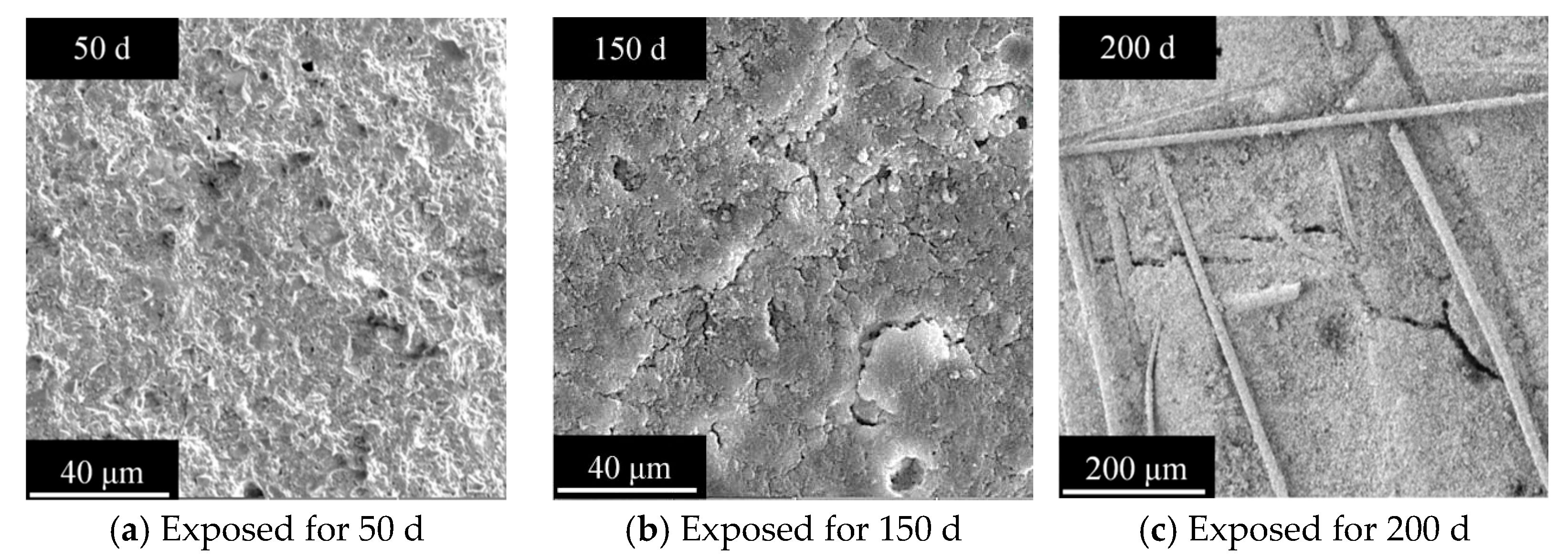 Polymers 17 02645 g009