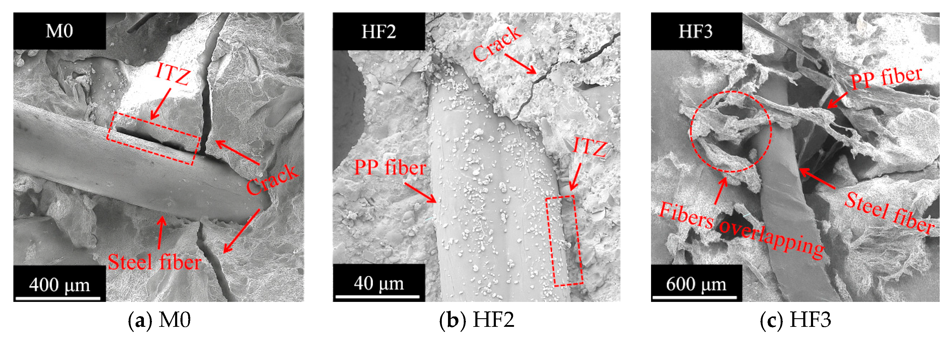 Polymers 17 02645 g012
