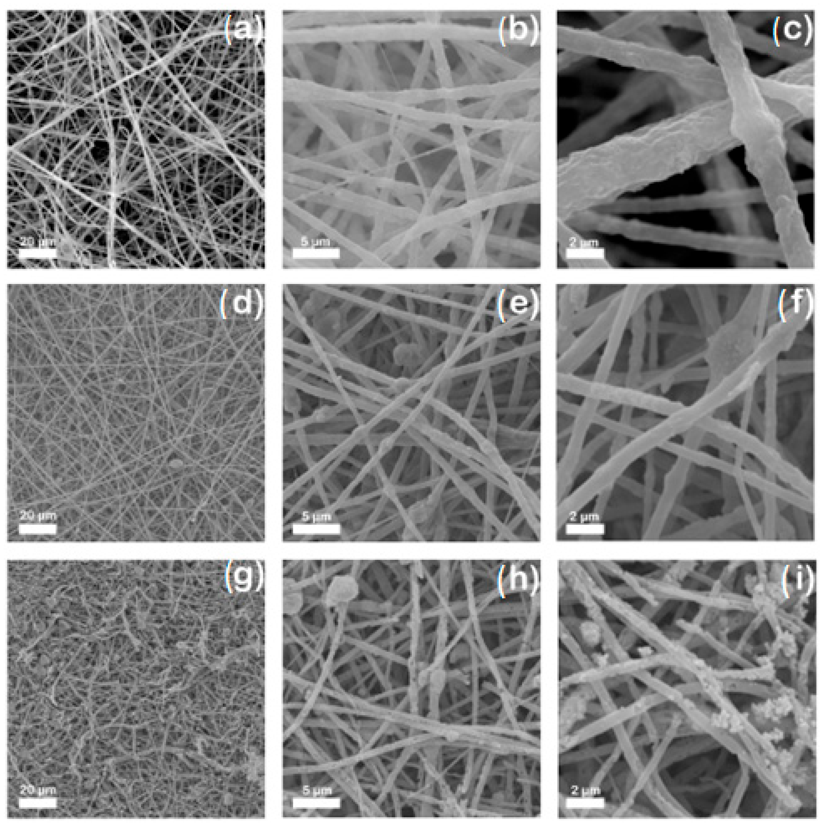 Polymers 17 02669 g007