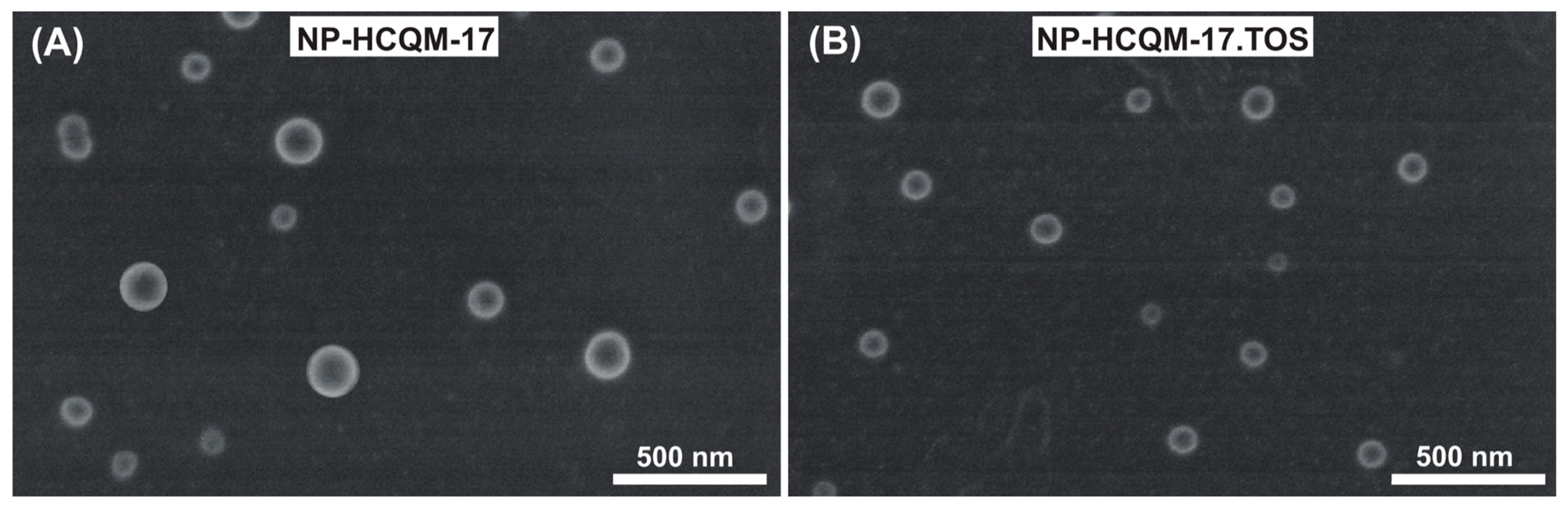 Polymers 17 02672 g006
