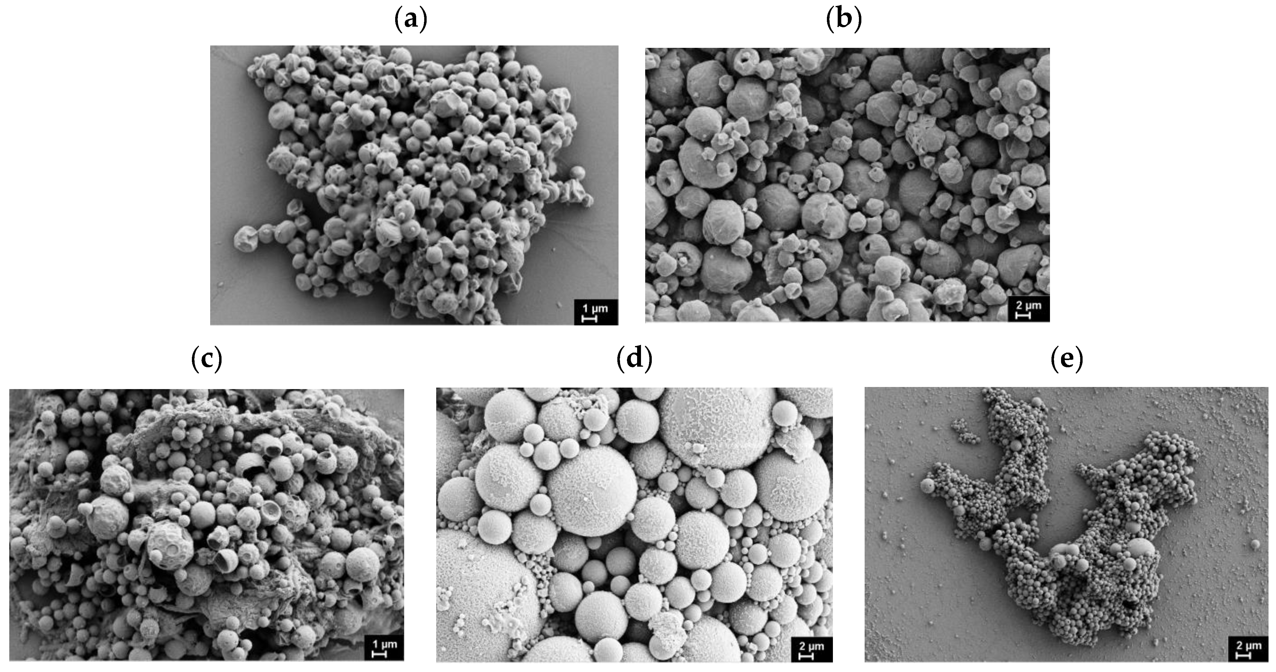Polymers 17 02676 g002 Polymers 17 02676 g002