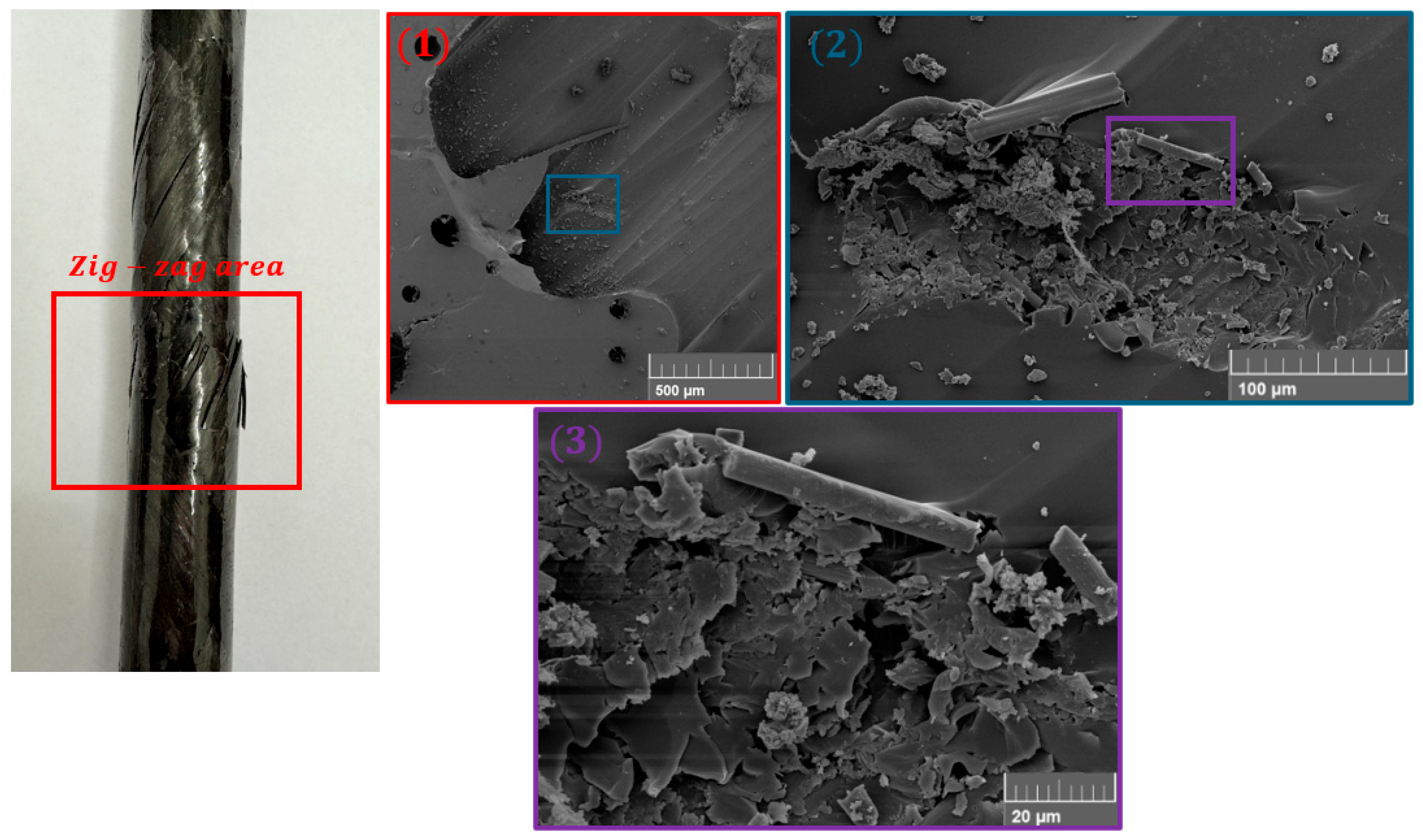 Polymers 17 02701 g019