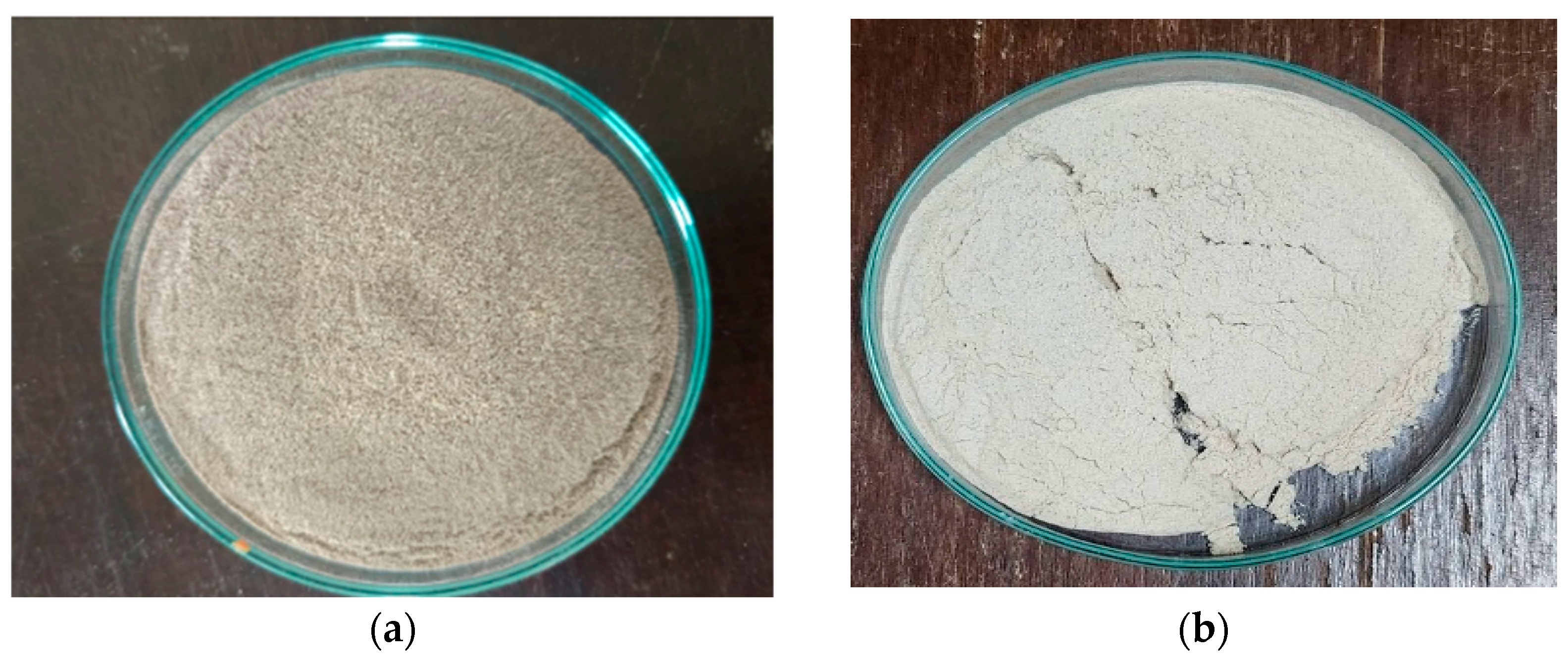 Polymers 17 02709 g001