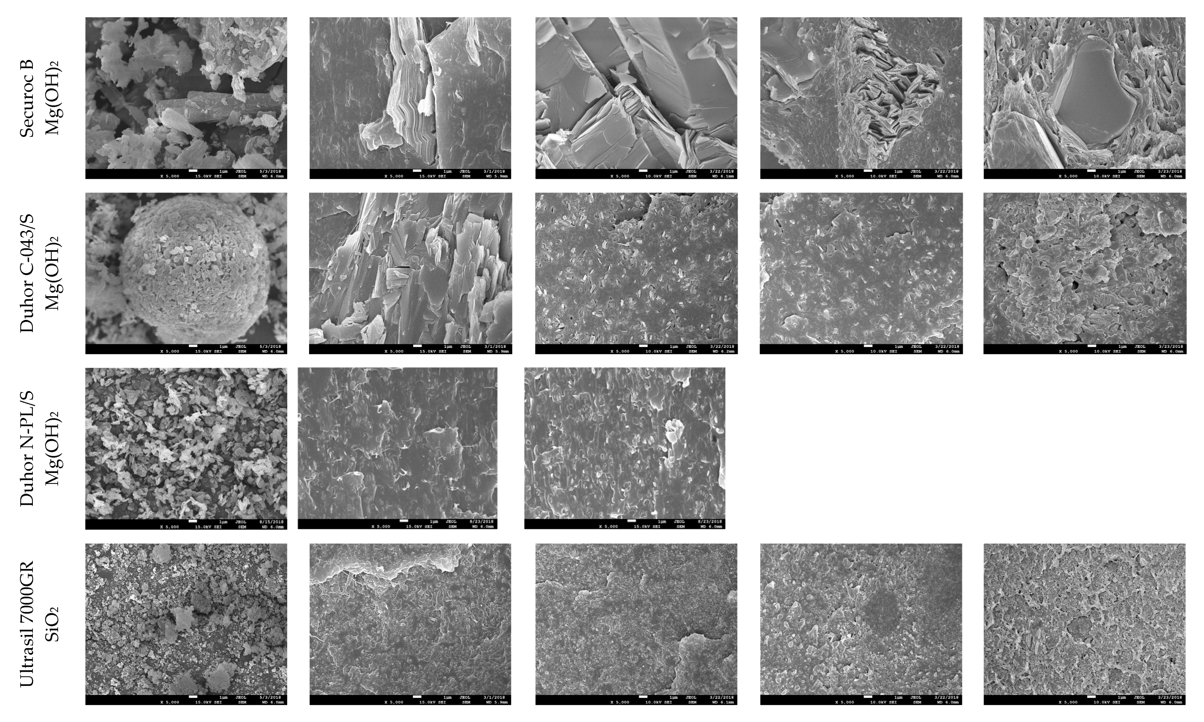 Polymers 17 02721 g012b