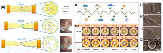 Polymers 17 02722 g004
